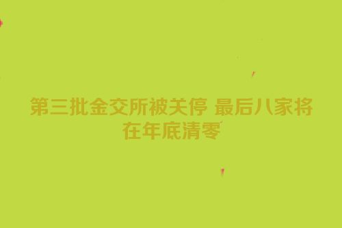 第三批金交所被关停 最后八家将在年底清零