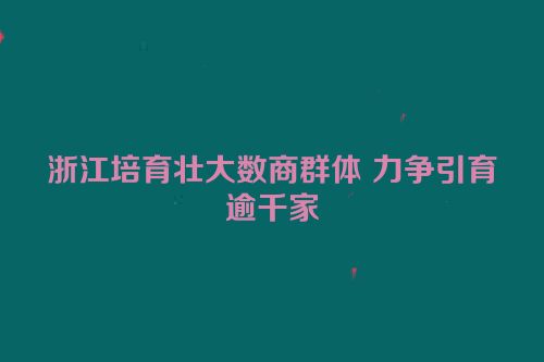 浙江培育壮大数商群体 力争引育逾千家