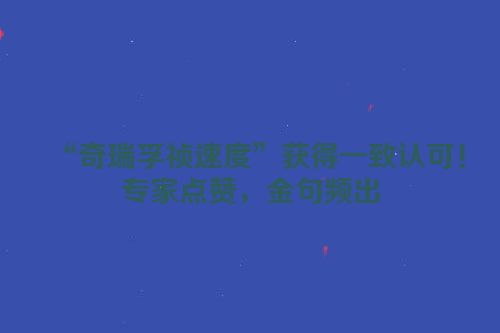 “奇瑞孚祯速度”获得一致认可！专家点赞，金句频出
