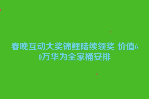 春晚互动大奖锦鲤陆续领奖 价值60万华为全家桶安排
