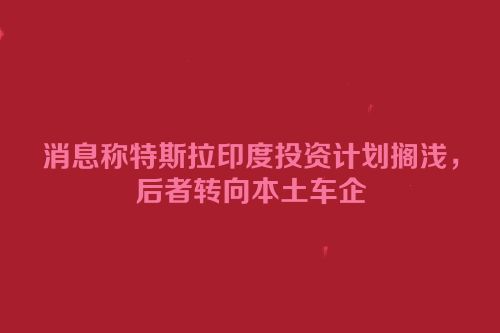 消息称特斯拉印度投资计划搁浅，后者转向本土车企