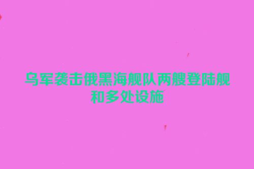 乌军袭击俄黑海舰队两艘登陆舰和多处设施