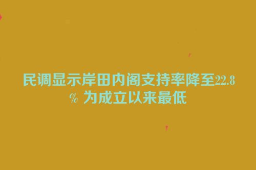 民调显示岸田内阁支持率降至22.8% 为成立以来最低