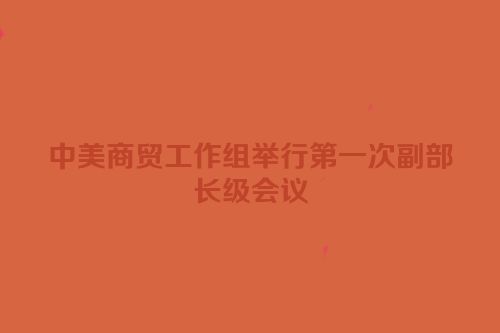 中美商贸工作组举行第一次副部长级会议