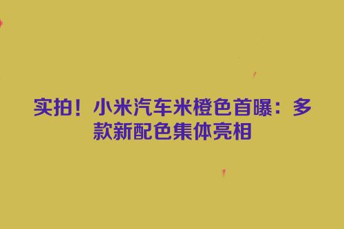 实拍！小米汽车米橙色首曝：多款新配色集体亮相