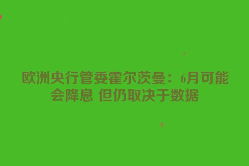 欧洲央行管委霍尔茨曼：6月可能会降息 但仍取决于数据