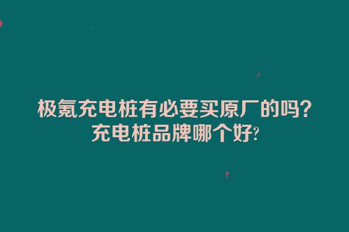 极氪充电桩有必要买原厂的吗？充电桩品牌哪个好?