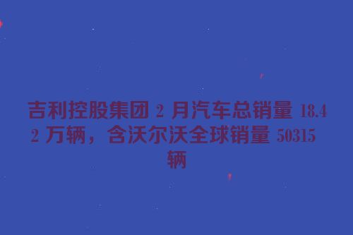 吉利控股集团 2 月汽车总销量 18.42 万辆，含沃尔沃全球销量 50315 辆