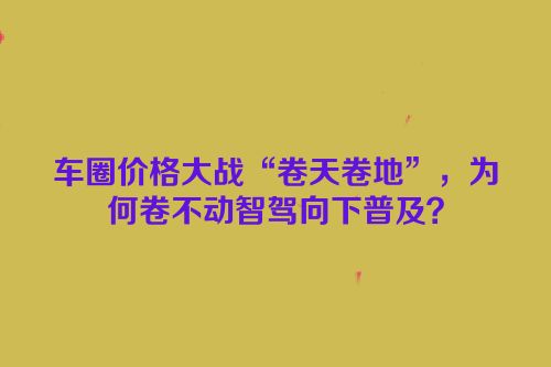 车圈价格大战“卷天卷地”，为何卷不动智驾向下普及？