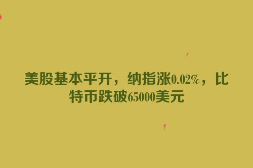美股基本平开，纳指涨0.02%，比特币跌破65000美元