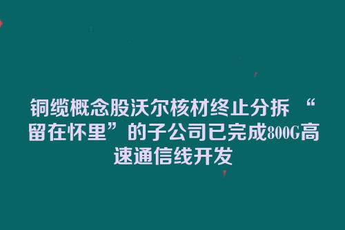 铜缆概念股沃尔核材终止分拆 “留在怀里”的子公司已完成800G高速通信线开发