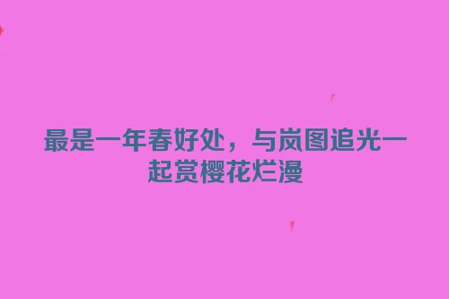 最是一年春好处，与岚图追光一起赏樱花烂漫