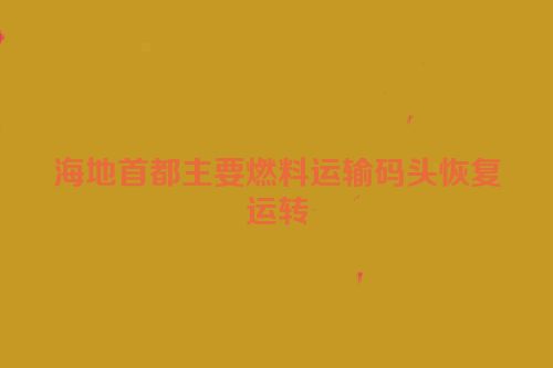 海地首都主要燃料运输码头恢复运转