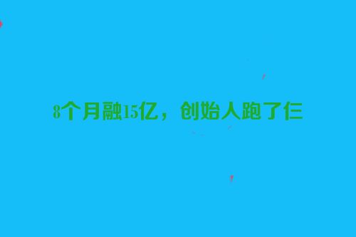 8个月融15亿，创始人跑了仨