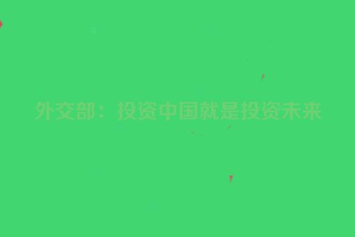 外交部：投资中国就是投资未来