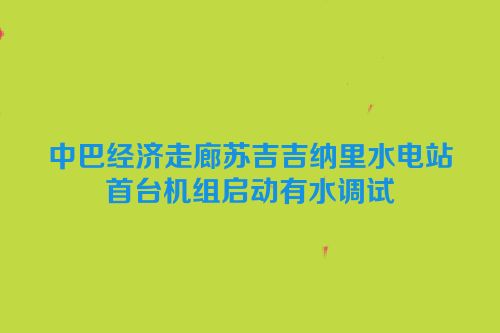 中巴经济走廊苏吉吉纳里水电站首台机组启动有水调试