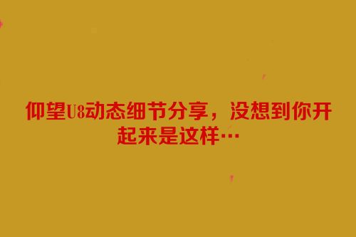 仰望U8动态细节分享，没想到你开起来是这样…