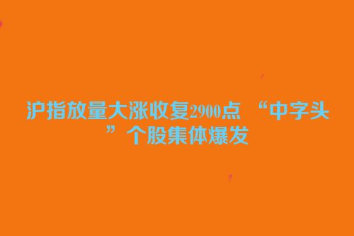 沪指放量大涨收复2900点 “中字头”个股集体爆发