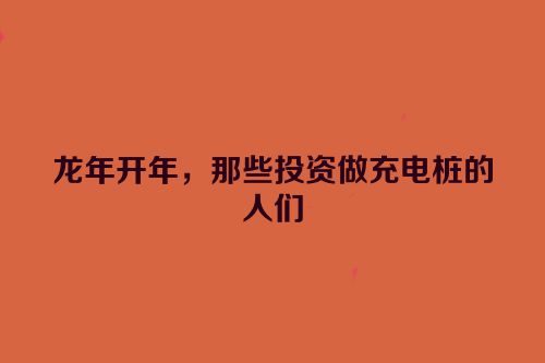 龙年开年，那些投资做充电桩的人们