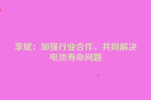 李斌：加强行业合作，共同解决电池寿命问题
