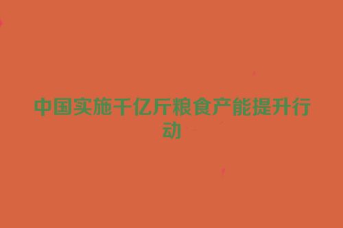 中国实施千亿斤粮食产能提升行动