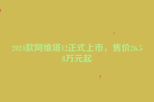 2024款阿维塔12正式上市，售价26.58万元起