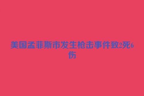 美国孟菲斯市发生枪击事件致2死6伤