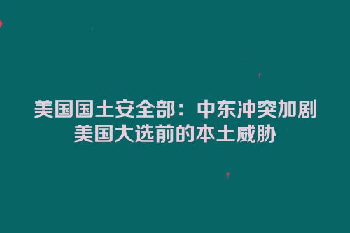 美国国土安全部：中东冲突加剧美国大选前的本土威胁