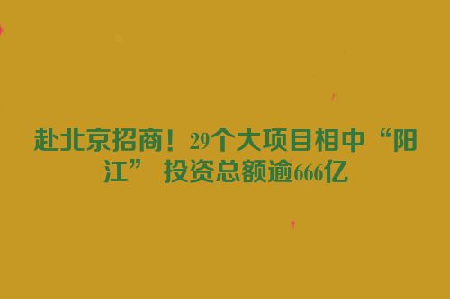 赴北京招商！29个大项目相中“阳江” 投资总额逾666亿