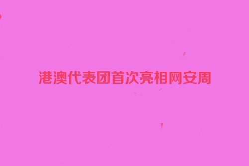 港澳代表团首次亮相网安周