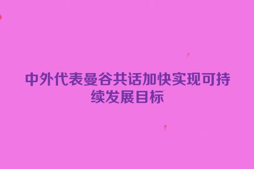 中外代表曼谷共话加快实现可持续发展目标