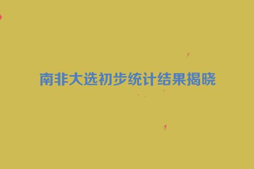 南非大选初步统计结果揭晓