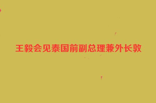 王毅会见泰国前副总理兼外长敦