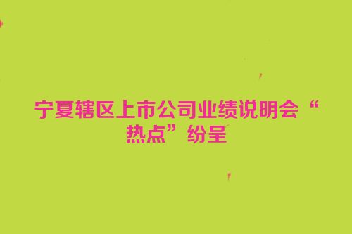 宁夏辖区上市公司业绩说明会“热点”纷呈
