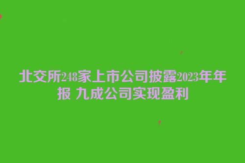 北交所248家上市公司披露2023年年报 九成公司实现盈利