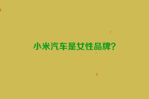 小米汽车是女性品牌？