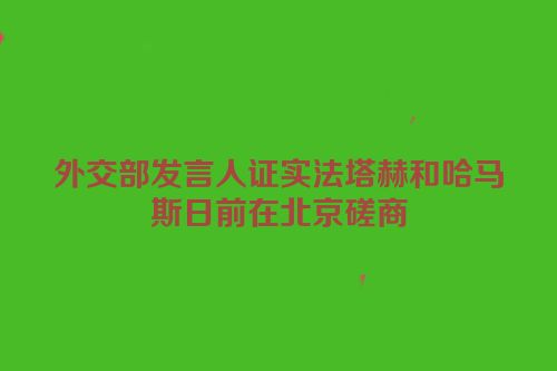 外交部发言人证实法塔赫和哈马斯日前在北京磋商