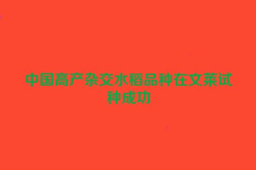 中国高产杂交水稻品种在文莱试种成功