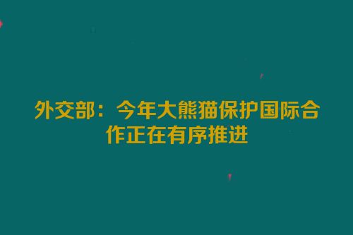 外交部：今年大熊猫保护国际合作正在有序推进