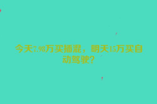 今天7.98万买插混，明天15万买自动驾驶？