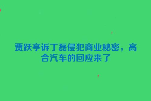 贾跃亭诉丁磊侵犯商业秘密，高合汽车的回应来了