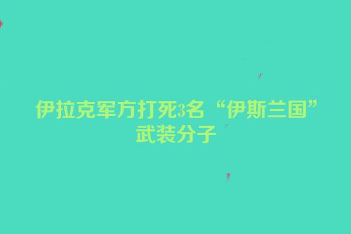 伊拉克军方打死3名“伊斯兰国”武装分子