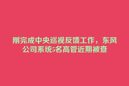 刚完成中央巡视反馈工作，东风公司系统5名高管近期被查