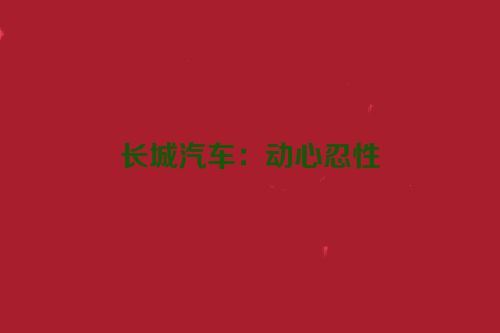 长城汽车：动心忍性