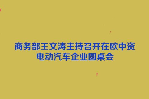 商务部王文涛主持召开在欧中资电动汽车企业圆桌会