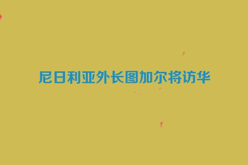 尼日利亚外长图加尔将访华