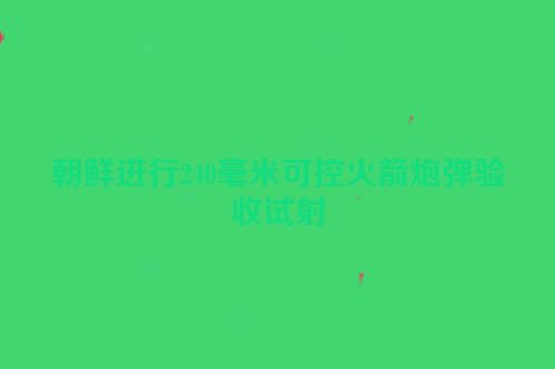 朝鲜进行240毫米可控火箭炮弹验收试射