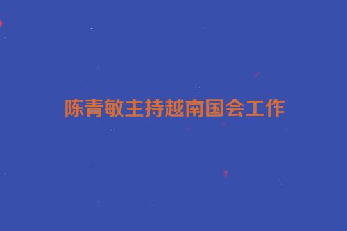 陈青敏主持越南国会工作
