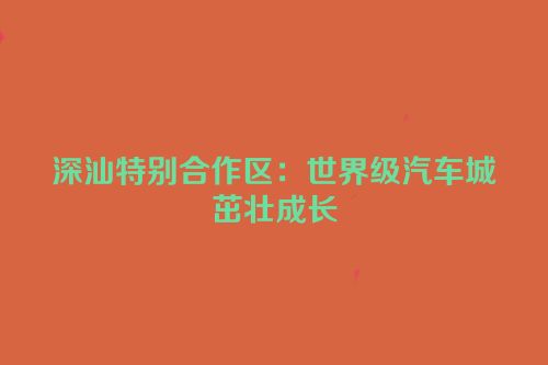 深汕特别合作区：世界级汽车城茁壮成长