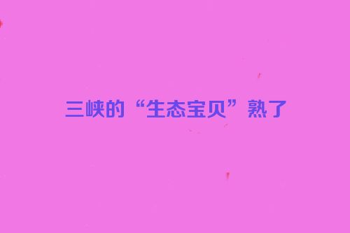 三峡的“生态宝贝”熟了